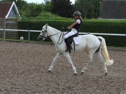 IMG_4745_web
